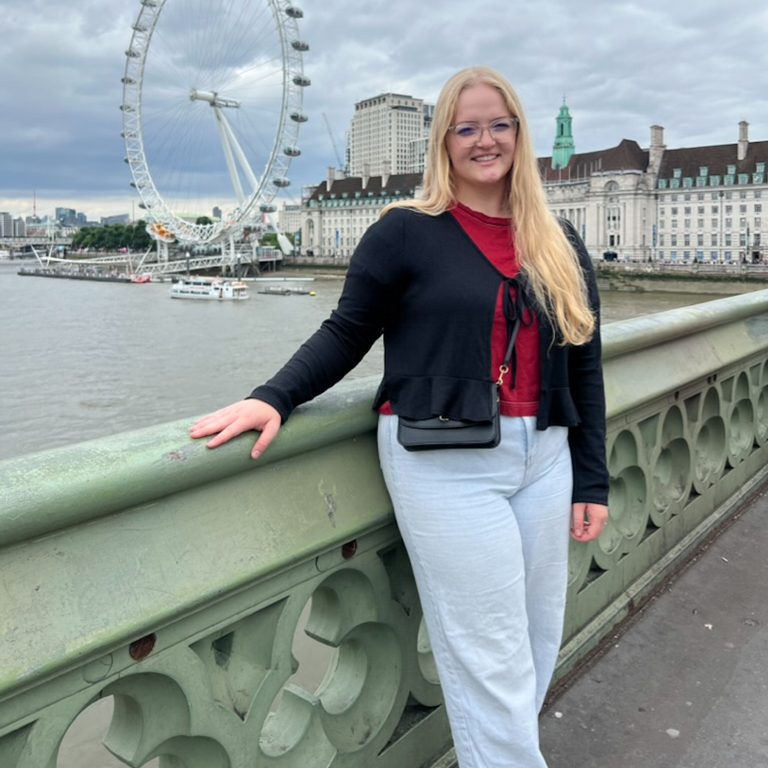 This text appears when someone is browsing using assistive technologies.