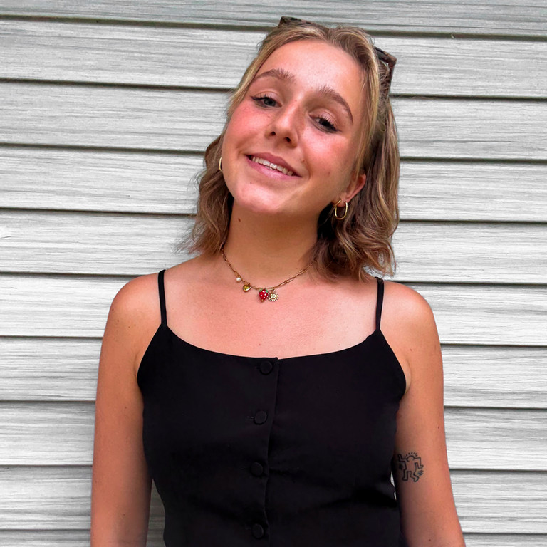 This text appears when someone is browsing using assistive technologies.